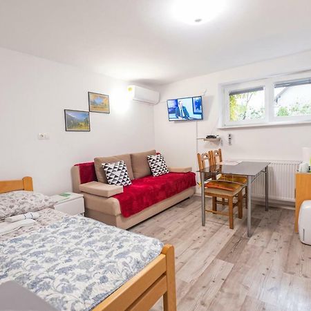 Newly Renovated Studio With Air Conditioner & Free Parking Ljubljana Ngoại thất bức ảnh